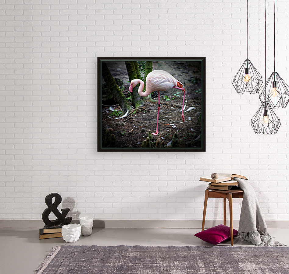 Flamingo Reproduction