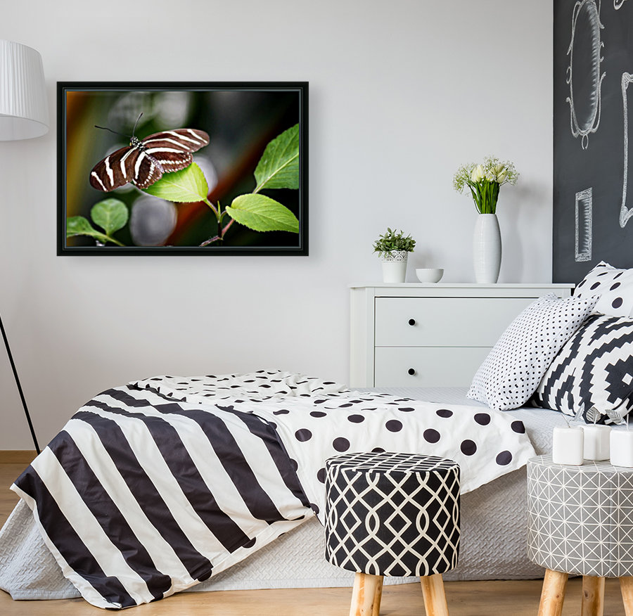 Stripped Butterfly Reproduction