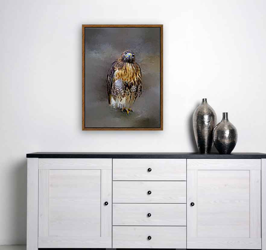 Red Shoulder Hawk Reproduction