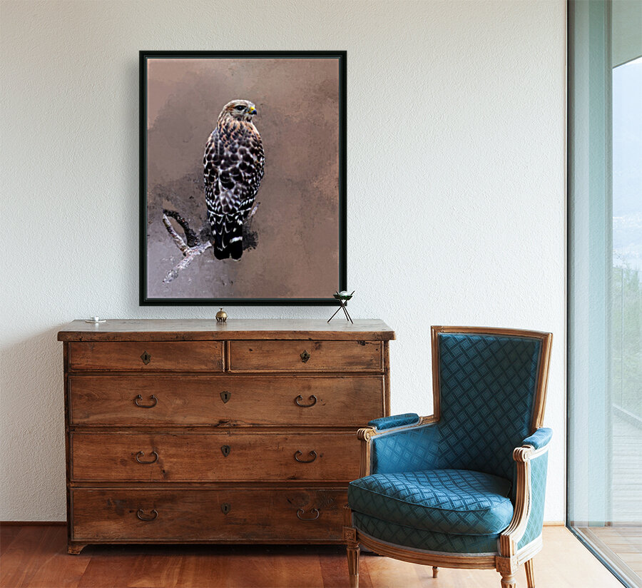  Hawk Reproduction