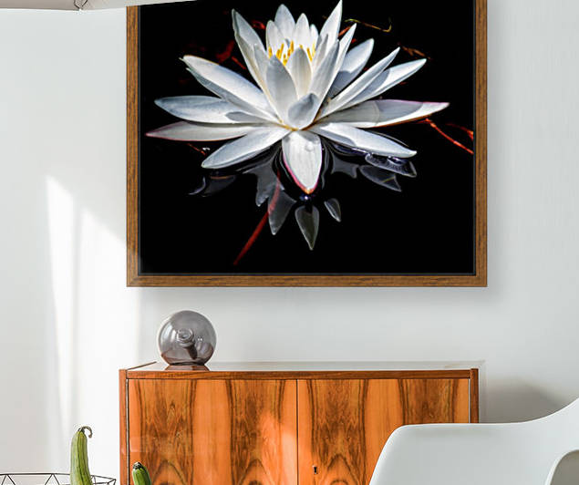 Forked Lake Lily by Connie Maher