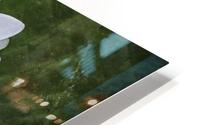 LIly HD Metal print