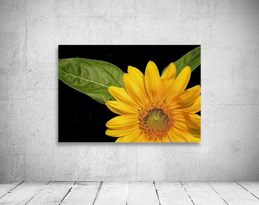 Sunflower  Wall Preview