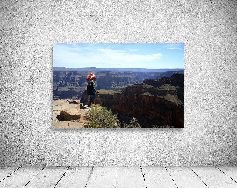 Native American Indian  Wall Preview