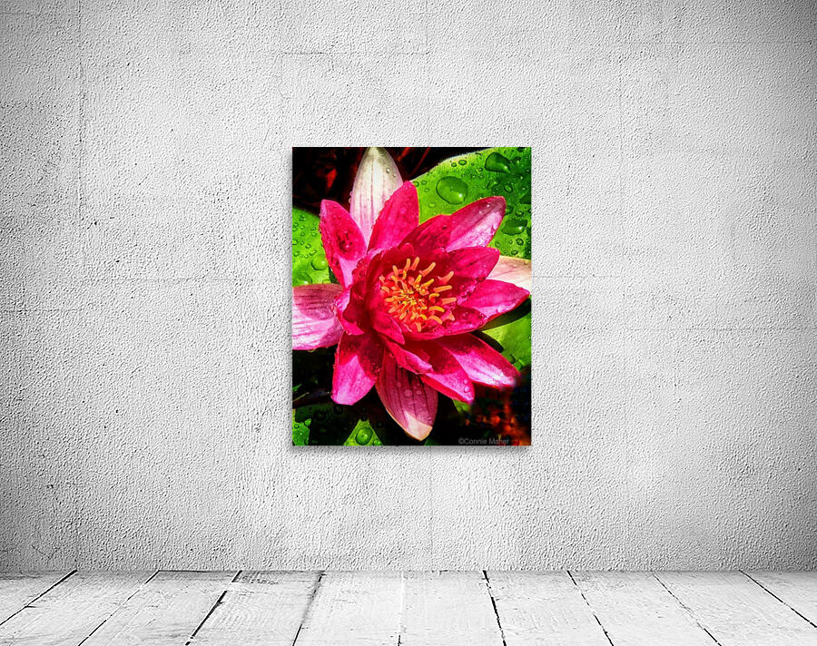 Pond Lily Wall Preview