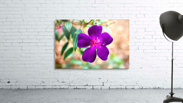 Purple flower Wall Preview