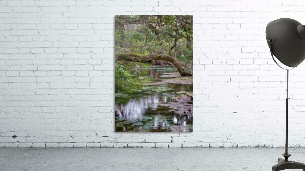 Stream  Wall Preview