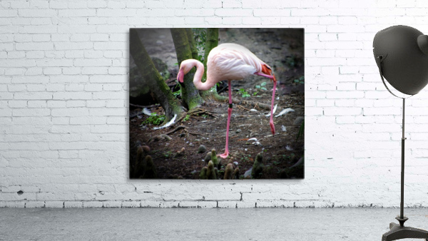 Flamingo Wall Preview