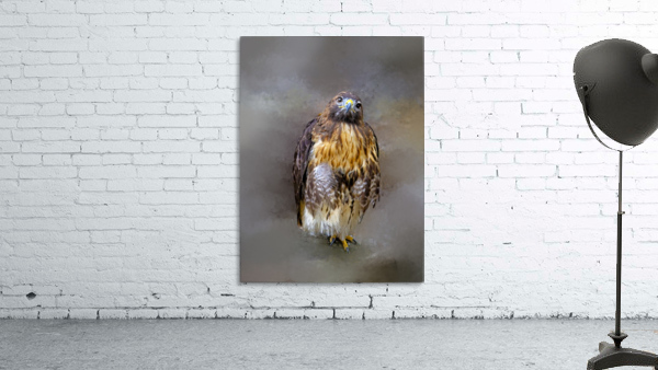 Red Shoulder Hawk Wall Preview