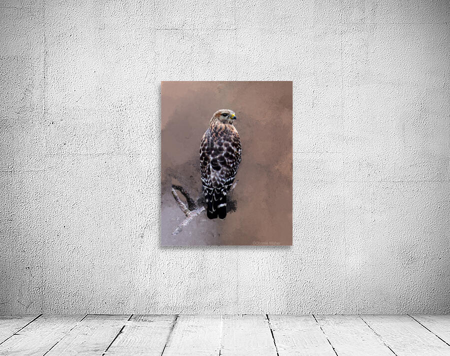  Hawk Wall Preview