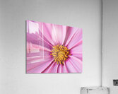 The Centre Acrylic Print