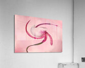 Swirl Acrylic Print