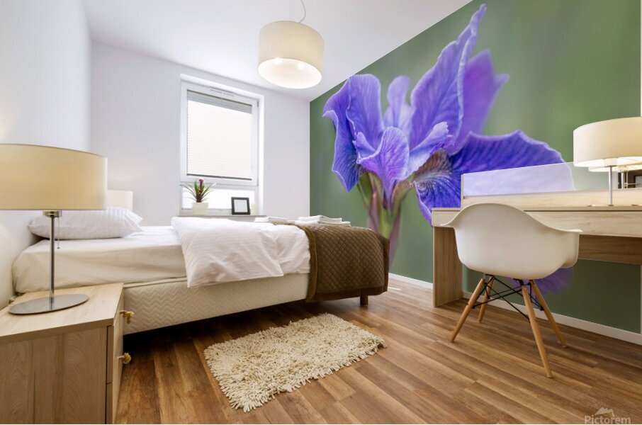 Iris Mural print