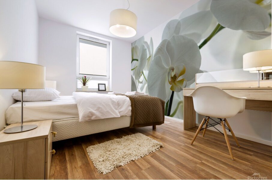 Orchid Mural print