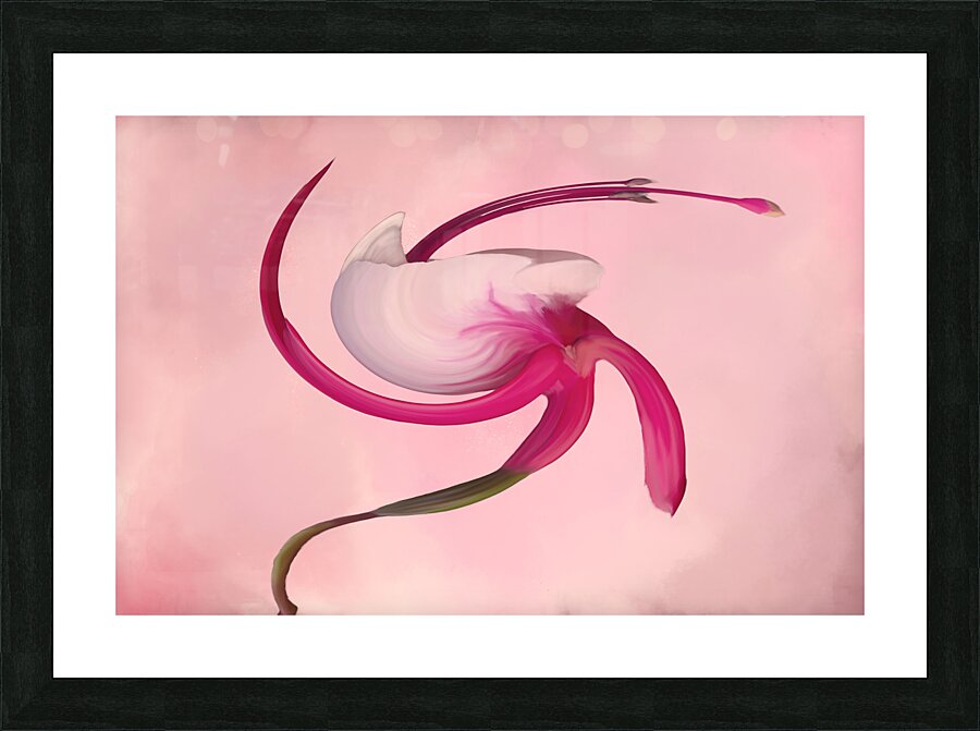 Swirl Picture Frame print