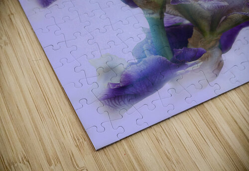 Purple Iris Pat Campbell puzzle