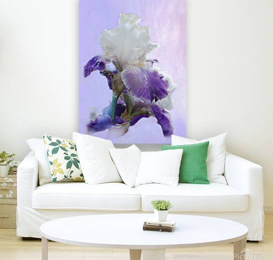 Purple Iris Reproduction