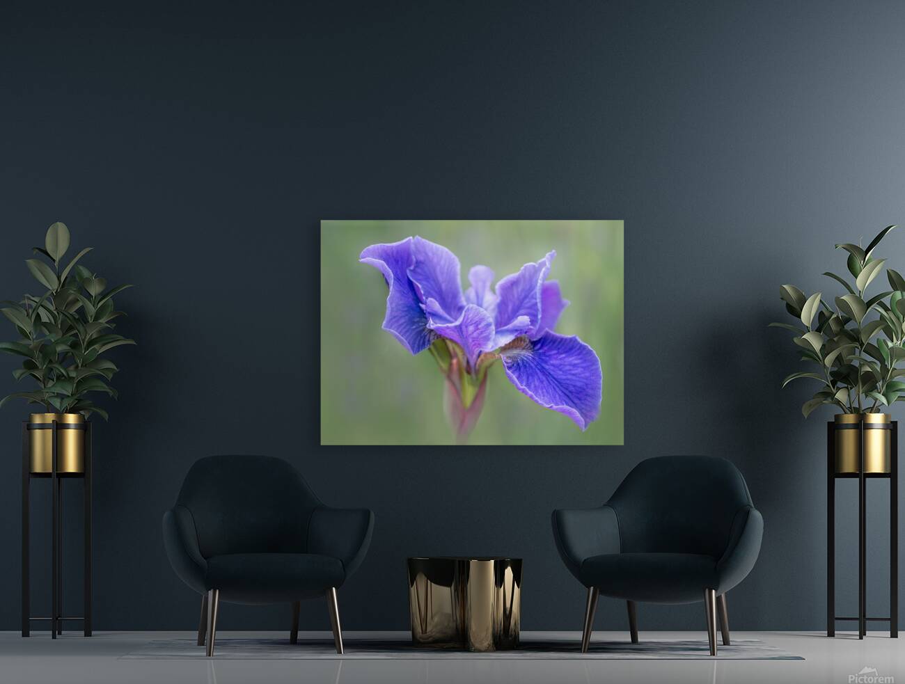 Iris Reproduction