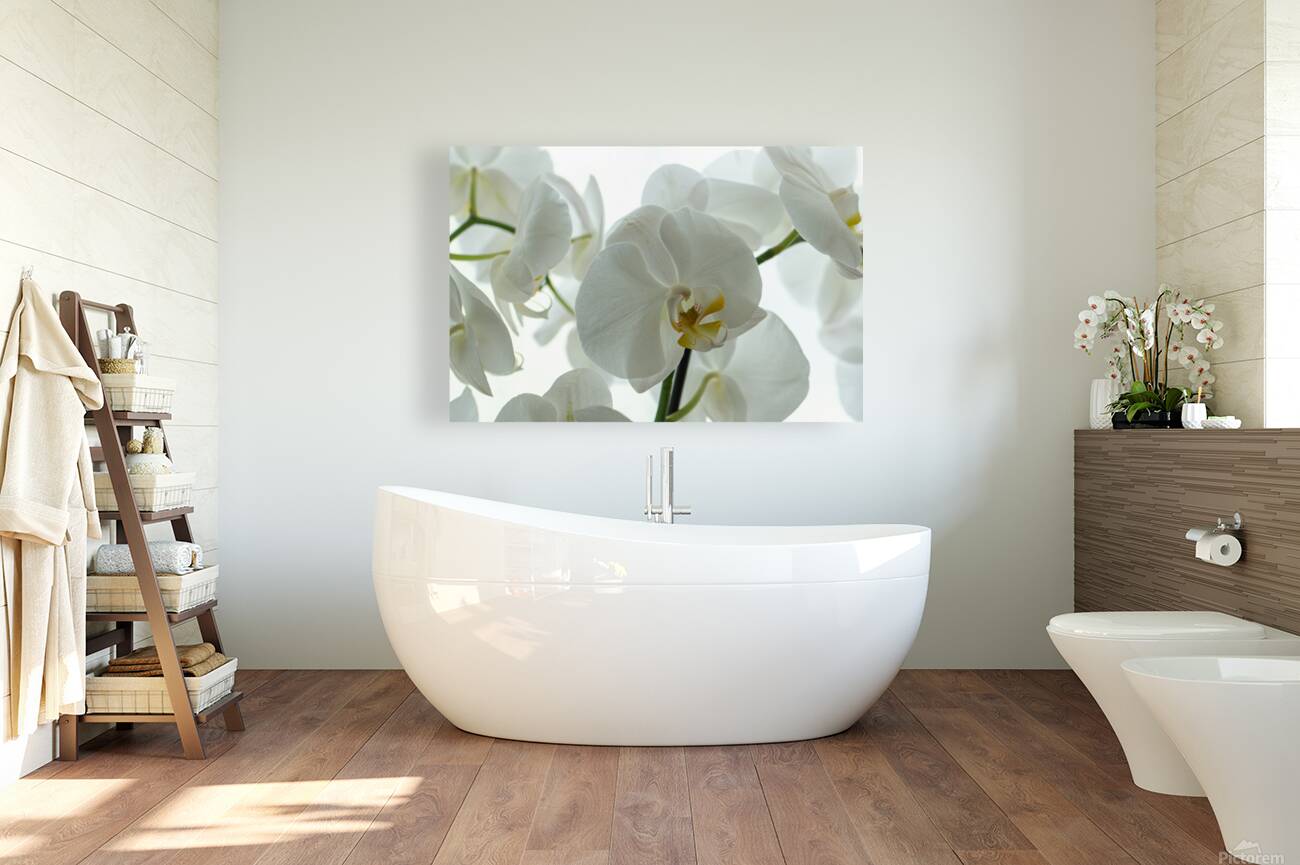 Orchid Reproduction