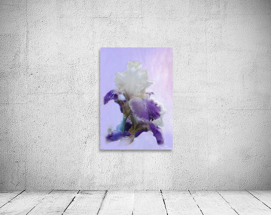 Purple Iris Wall Preview