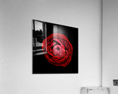 Anemone_3 Acrylic Print