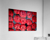Street Cover Acrylic Print