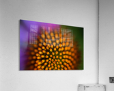 Flower Abstract Acrylic Print