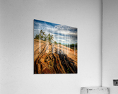 Franklin Island Acrylic Print