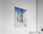 Winter Acrylic Print