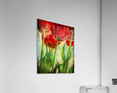 Tulips Acrylic Print
