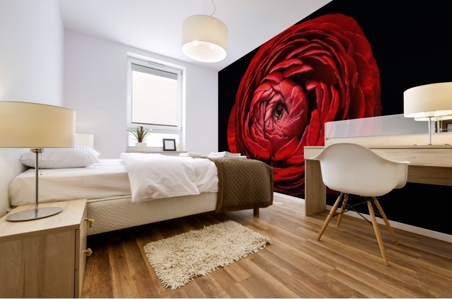 Anemone_1 Mural print