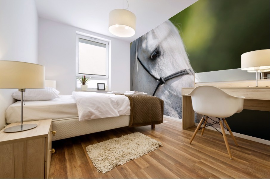Horse Portrait Mural print