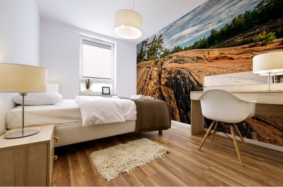 Franklin Island Mural print