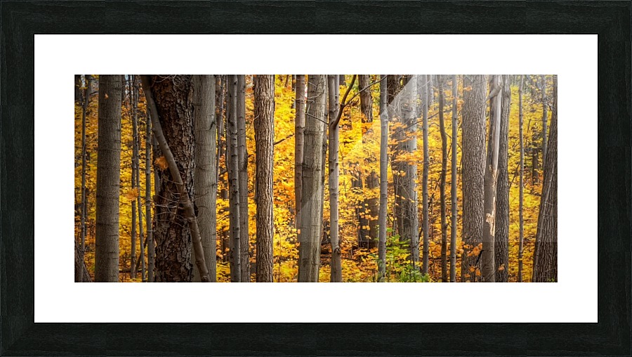 Yellow Autumn Picture Frame print