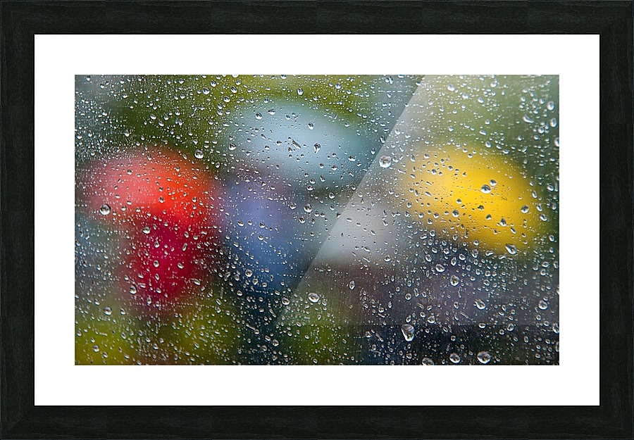 Summer Rain Picture Frame print