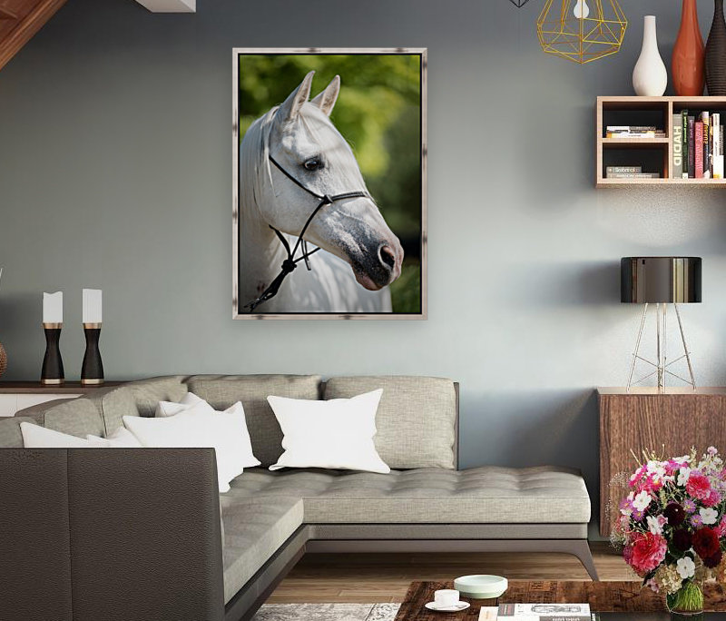 Horse Portrait Reproduction