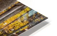Yellow Autumn HD Metal print