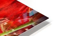 Tulips HD Metal print