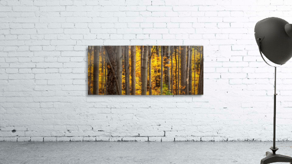 Yellow Autumn Wall Preview