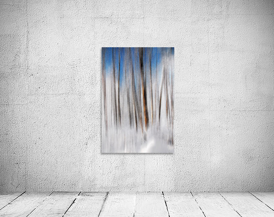 Winter Wall Preview