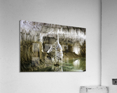 Choranche Cave Acrylic Print