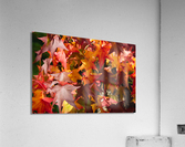 Autumn Leaves Acrylic Print