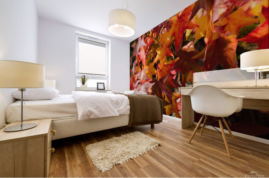 Autumn Leaves Mural print
