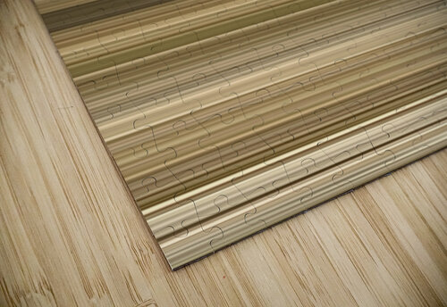 Stripe 103 Werner Roelandt puzzle