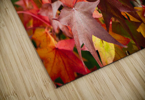 Autumn Leaves Werner Roelandt puzzle