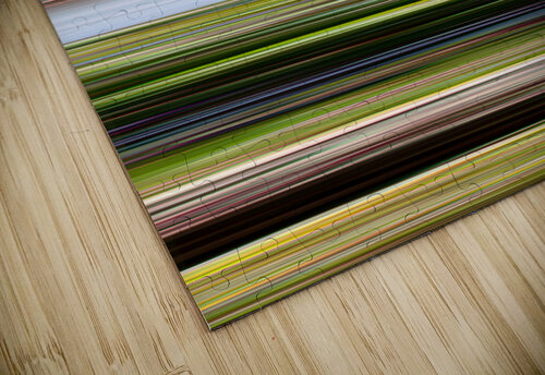 Stripe 101 Werner Roelandt puzzle