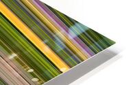 Stripe 104 HD Metal print