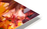 Autumn Leaves HD Metal print