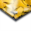 Ginkgo Acrylic print
