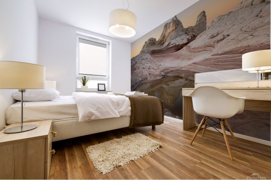 White Pocket Monument Mural print